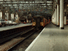 318269 at Glasgow