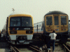 319004 and 465005