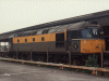 33030 at Salisbury