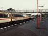 47853 at Brokenhurst