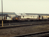 73101 at Eastleigh