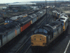 Locos Galore Eastleigh